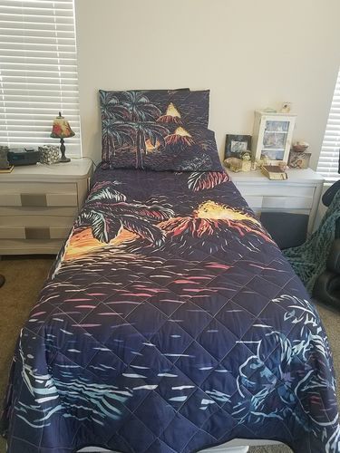 Customer photo review of Night On The Land Quilt Bed Set