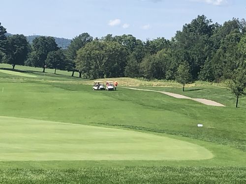 Customer photo review of Golf Glove by Harry Taylor (3-Pack)