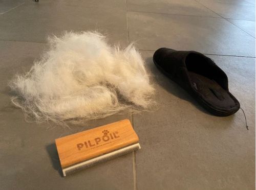 Customer photo review of Brosse Anti-Poils Chien, Chat, Cheval, Lapin | Original | Pilpoil®