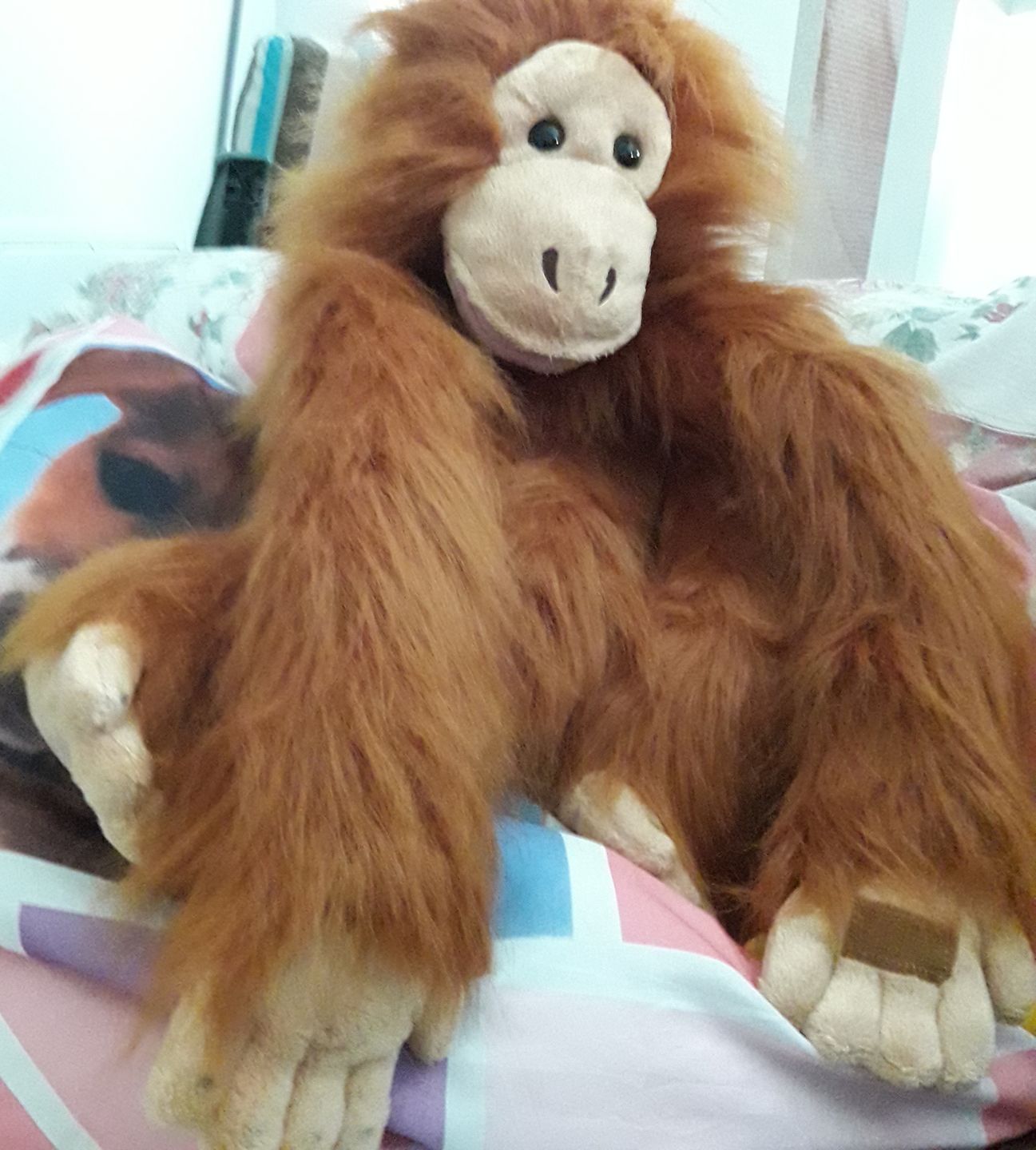 Customer photo review of Orang-outan Marionnette