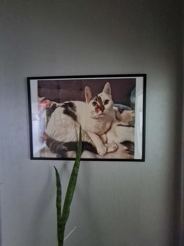 Customer photo review of Diamond Painting - Dein Wunschmotiv