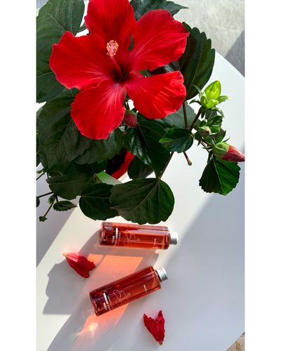 Customer photo review of Coconut Water | Hibiscus+Rosehip Toner
