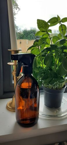 Customer photo review of Amber Glass Spray Bottle - 500ml