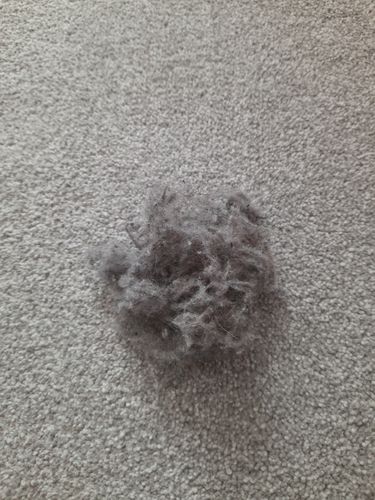 Customer photo review of Lint Swept™ Lint Roller Shaver