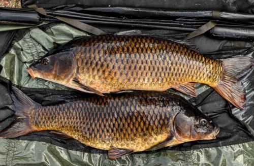 Customer photo review of 20g Smart Fishing Float