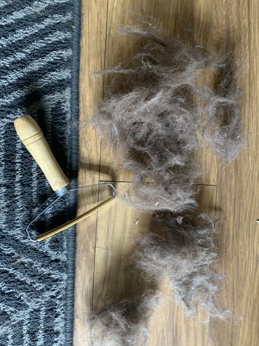 Customer photo review of Lint Swept™ Lint Roller Shaver