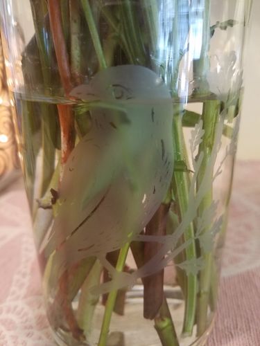 Customer photo review of Mesh Stencil - Birds - 8.5 x 11