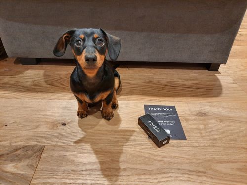 Customer photo review of BARKIE - Personal Safety Alarm