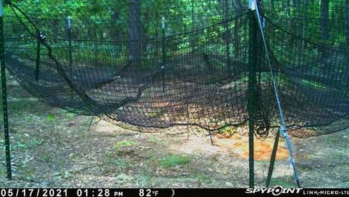 Customer photo review of Pig Brig Trap System