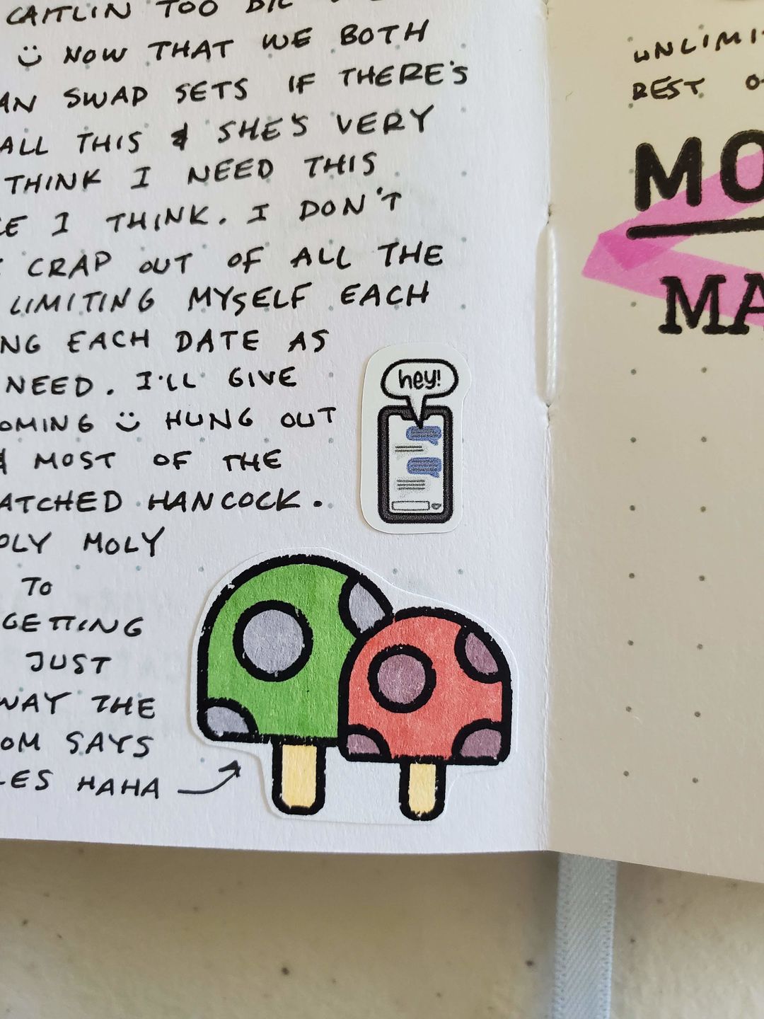 Customer photo review of Let's Chat Planner Stickers