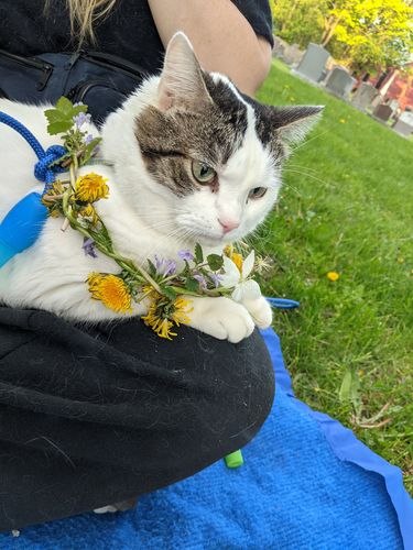 Customer photo review of REVIVE Skincare Set