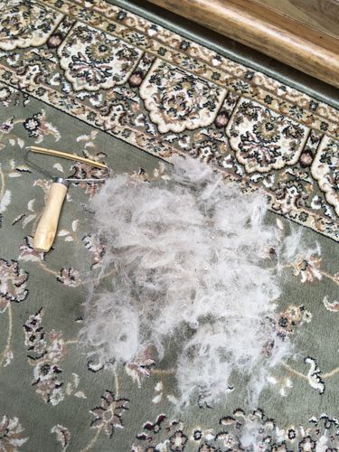 Customer photo review of Lint Swept™ Lint Roller Shaver