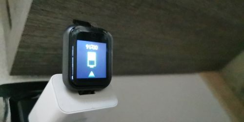 Customer photo review of Blood Pressure Watch "Basic"™