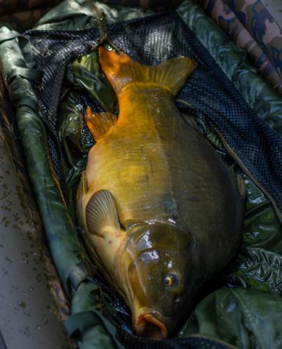 Customer photo review of 15g Smart Fishing Float