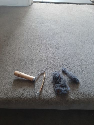 Customer photo review of Lint Swept™ Lint Roller Shaver