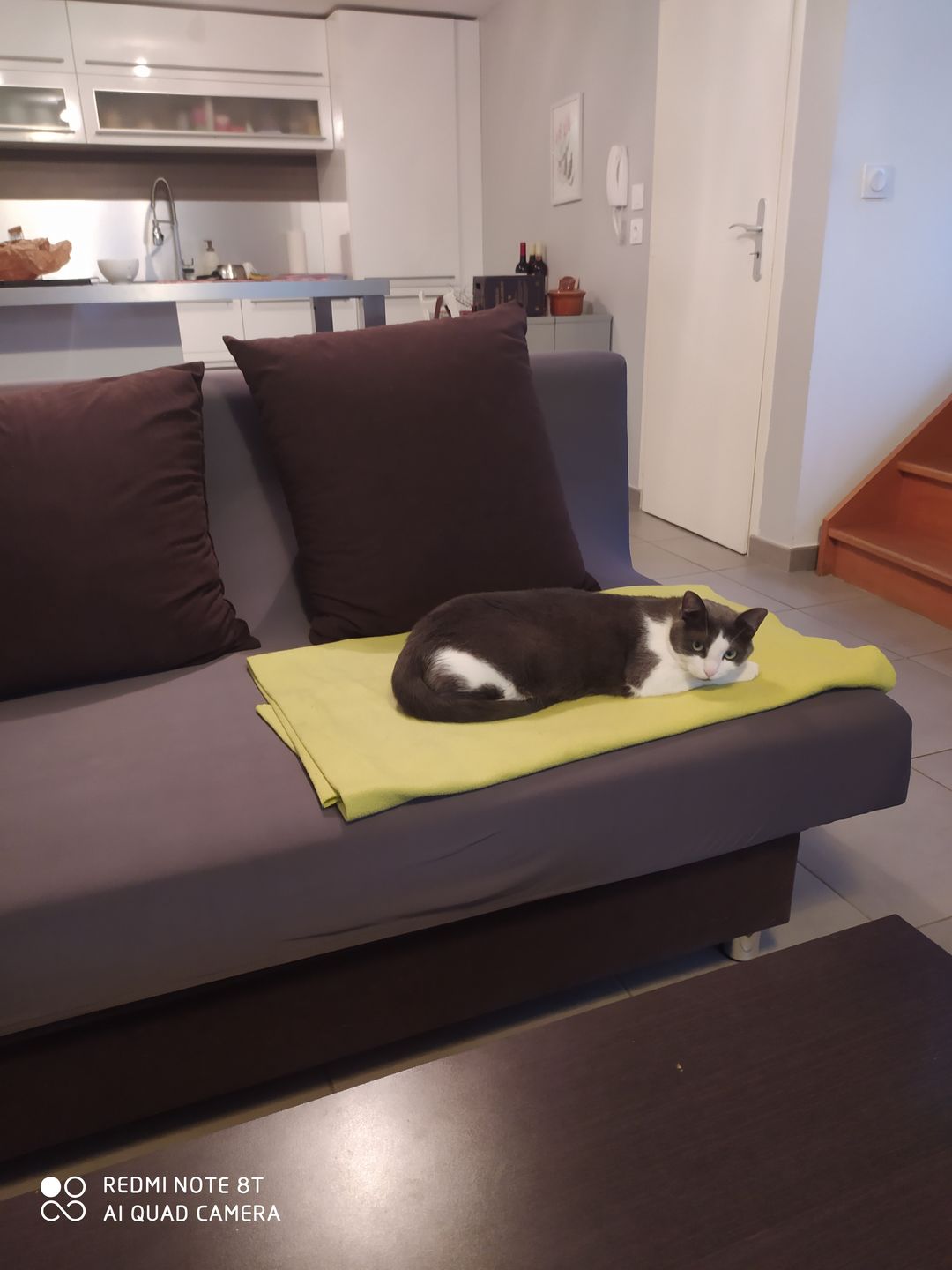 Customer photo review of Gris - Housses Extensibles pour Clic Clac et BZ - La Maison des Housses