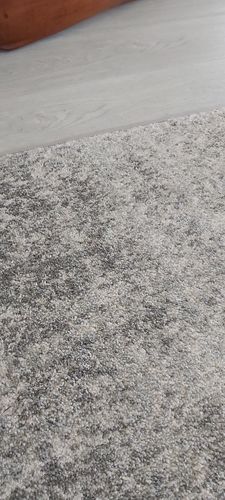 Customer photo review of Evoke Shine Silver Transitional Runner Rug