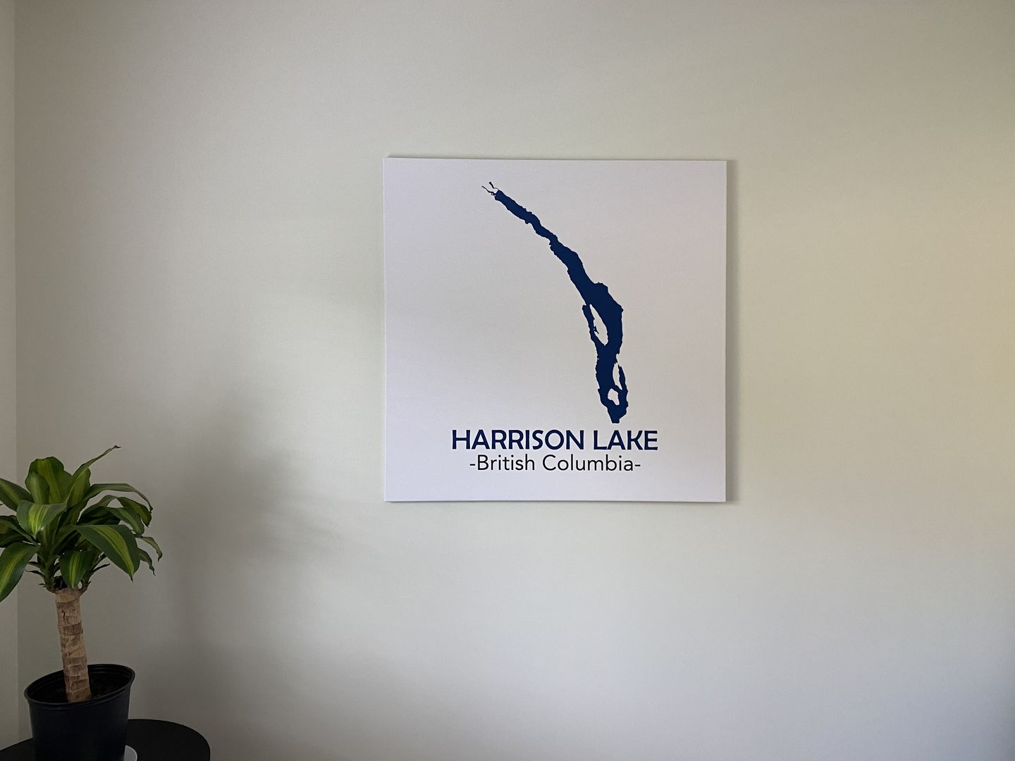 Customer photo review of Custom Lake Square Canvas