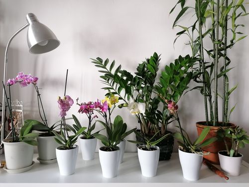 Customer photo review of Geschenkgutschein (digital)