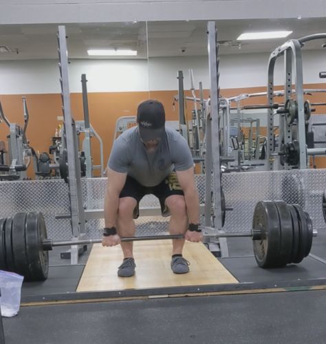 Customer photo review of Ursus [LT]