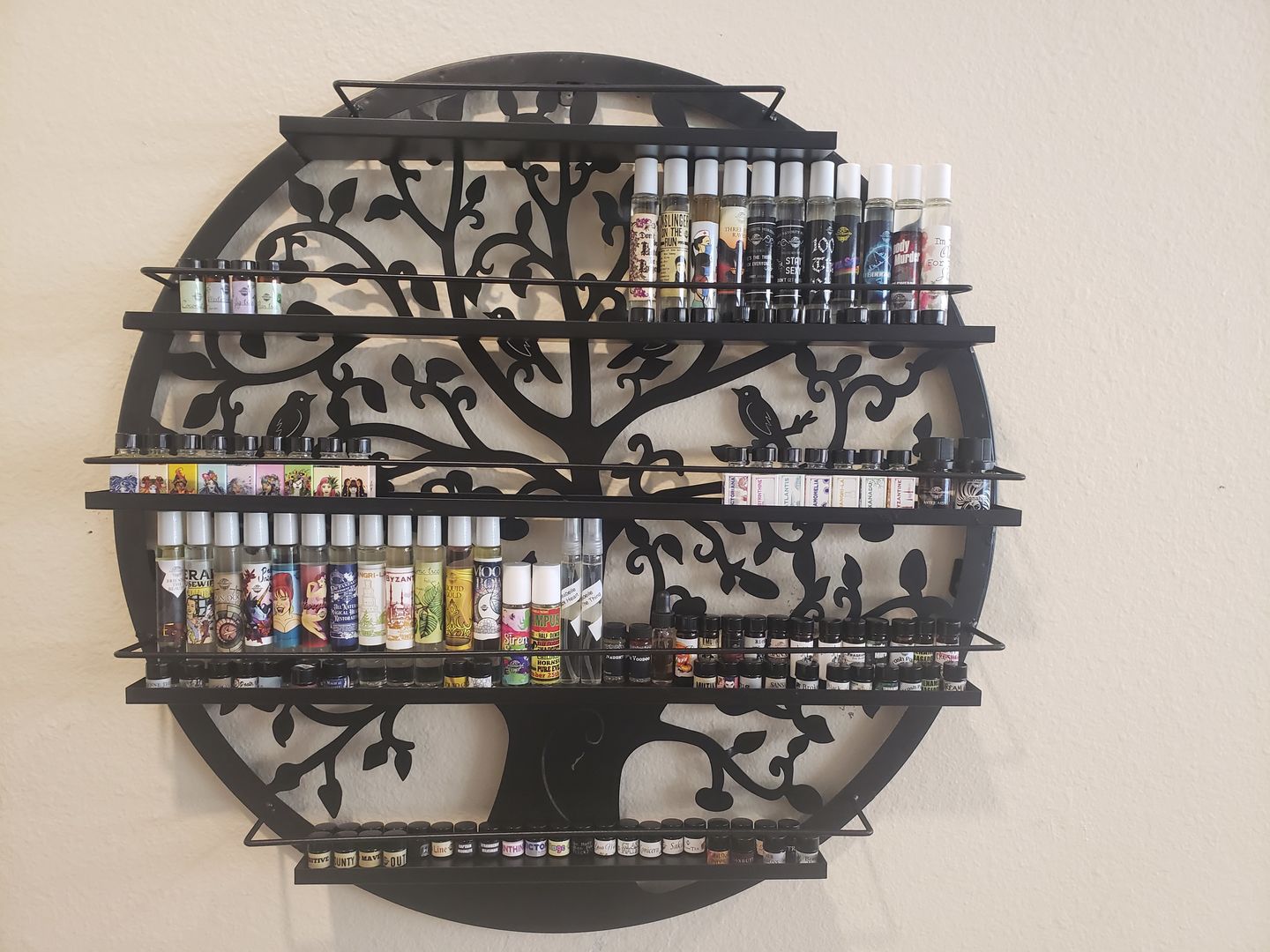Customer photo review of Mother of Dragons