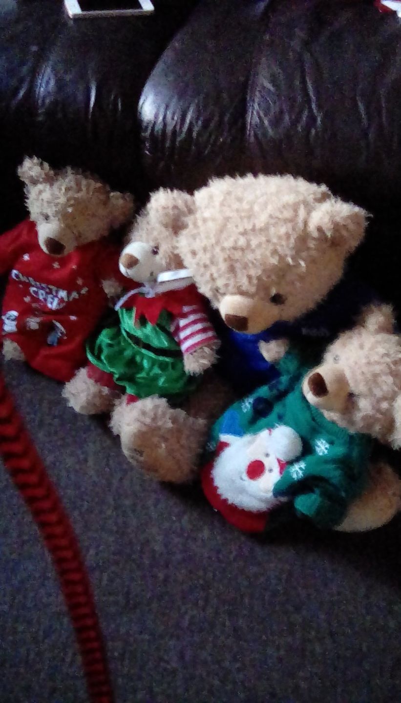 Customer photo review of 65cm Original Eddy the Teddy