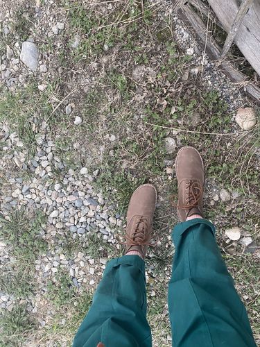 Customer photo review of Pickford - Natural Brown