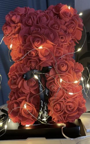 Customer photo review of Multi-Color Teddy Rose Small