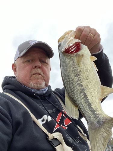 Customer photo review of Headbanger Spitfire 4.5"