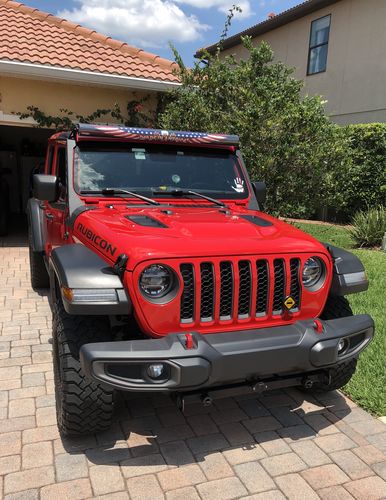 Customer photo review of Red, White and Blue American Bald Eagle