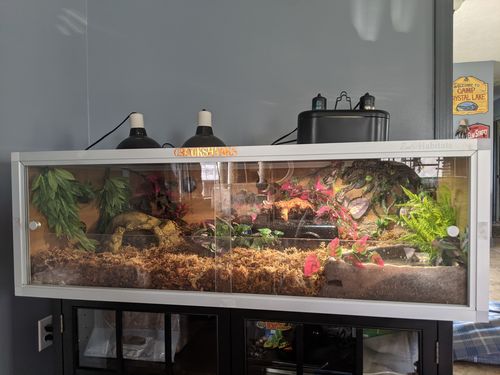 Customer photo review of 48"x24"x16" PVC Panel Reptile Enclosure by Zen Habitats