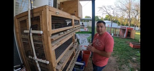 Customer photo review of GrubTerra Dried Larvae