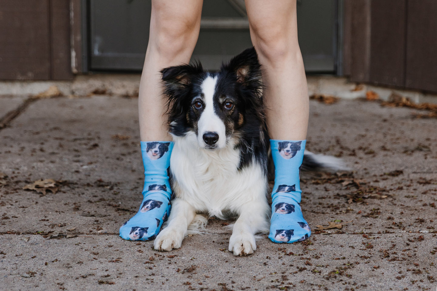 Customer photo review of Custom Pet Art Socks
