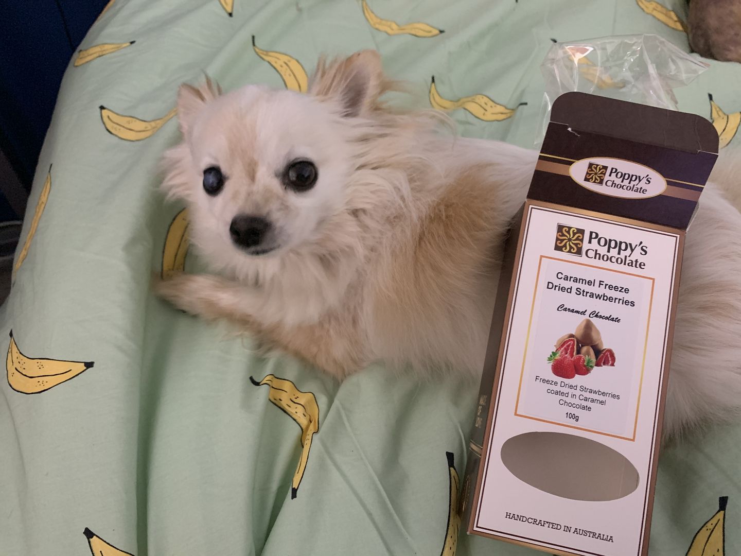 Customer photo review of Caramel Chocolate Coated Freeze Dried Strawberries 100g