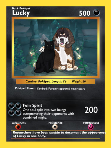 Customer photo review of Number of Pokepets and Trainers