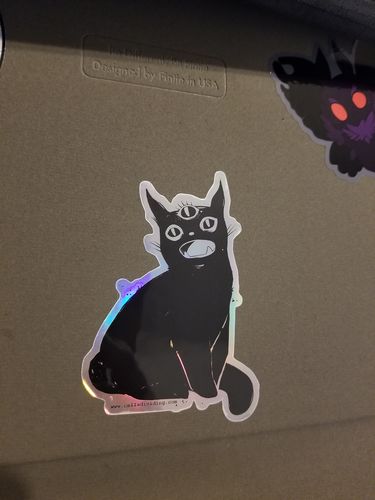 Customer photo review of Third Eye Black Cat, Holographic Sticker