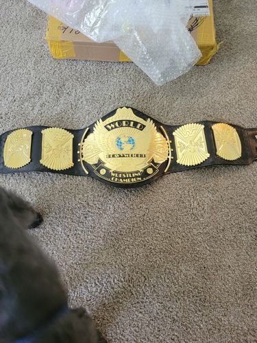 Customer photo review of Winged Eagle Belt