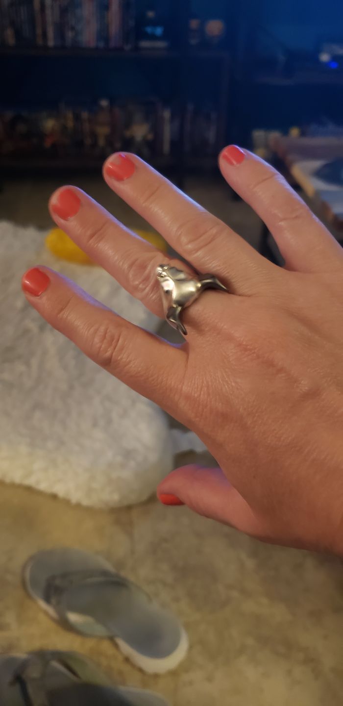 Customer photo review of Bull Ring