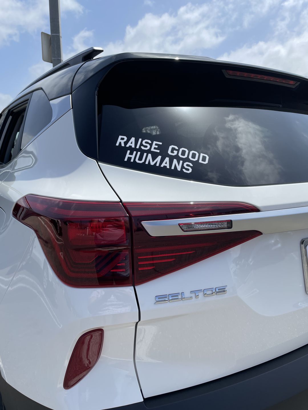 Customer photo review of "RAISE GOOD HUMANS®" Decal