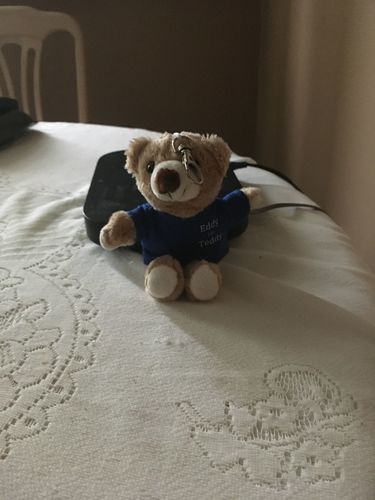 Customer photo review of Eddy The Teddy Keyring