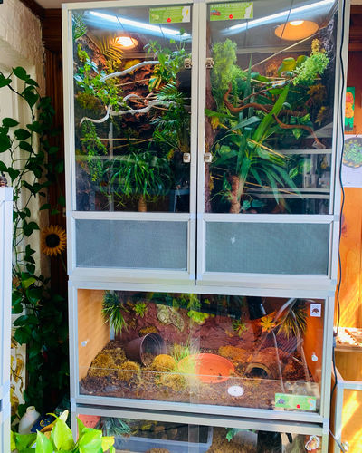 Customer photo review of 2'x2'x4' PVC Panel Reptile Enclosure by Zen Habitats