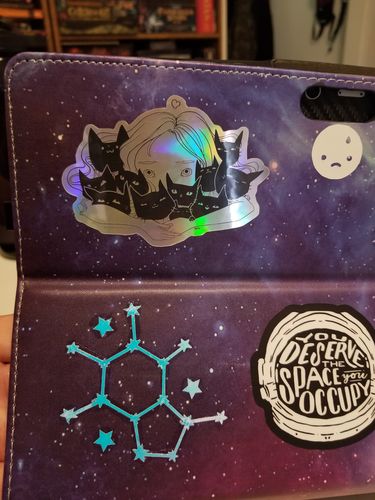 Customer photo review of Girl Hugging Cats, Holographic Sticker