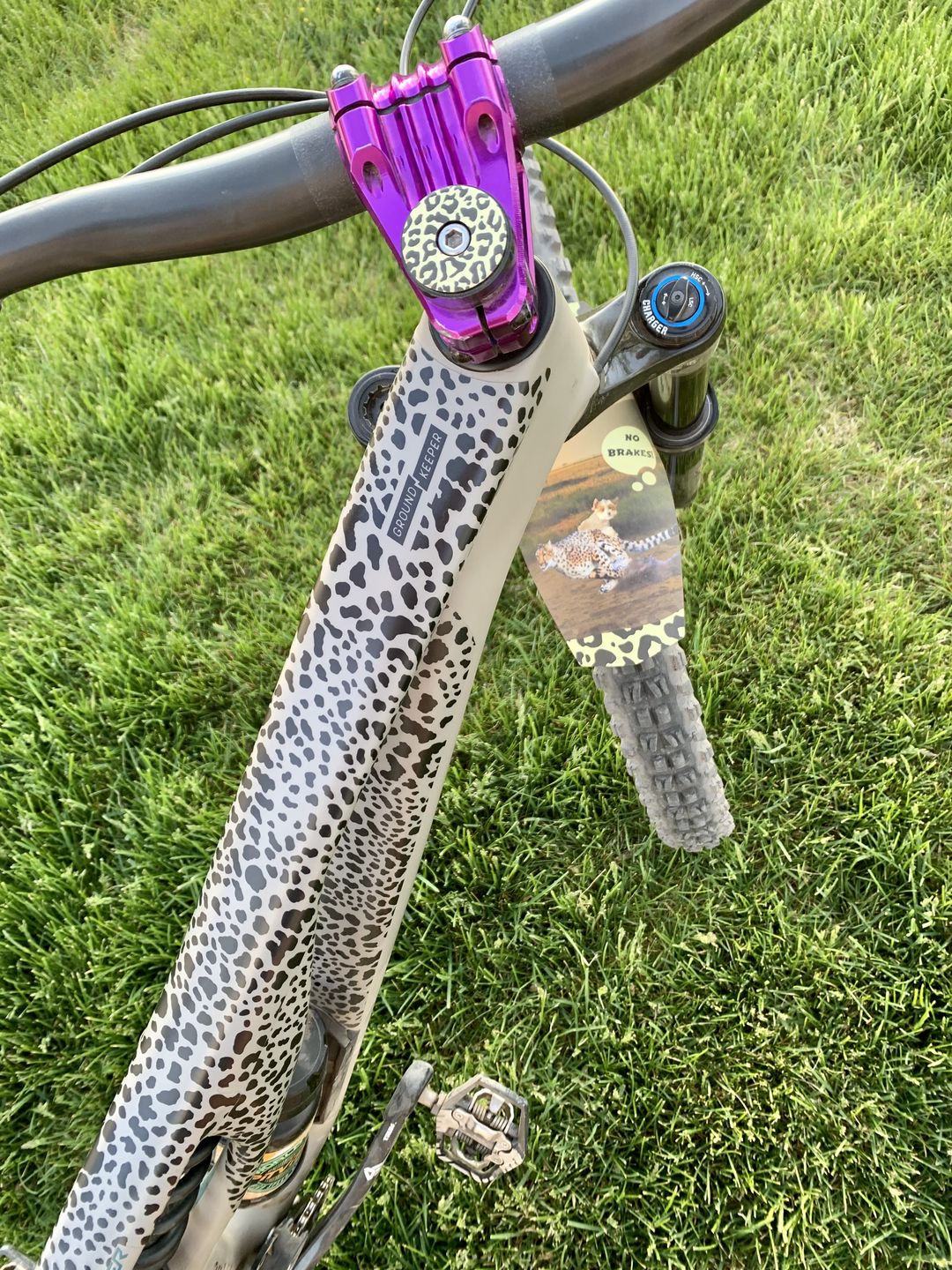Customer photo review of Cheetah Frame Keeper