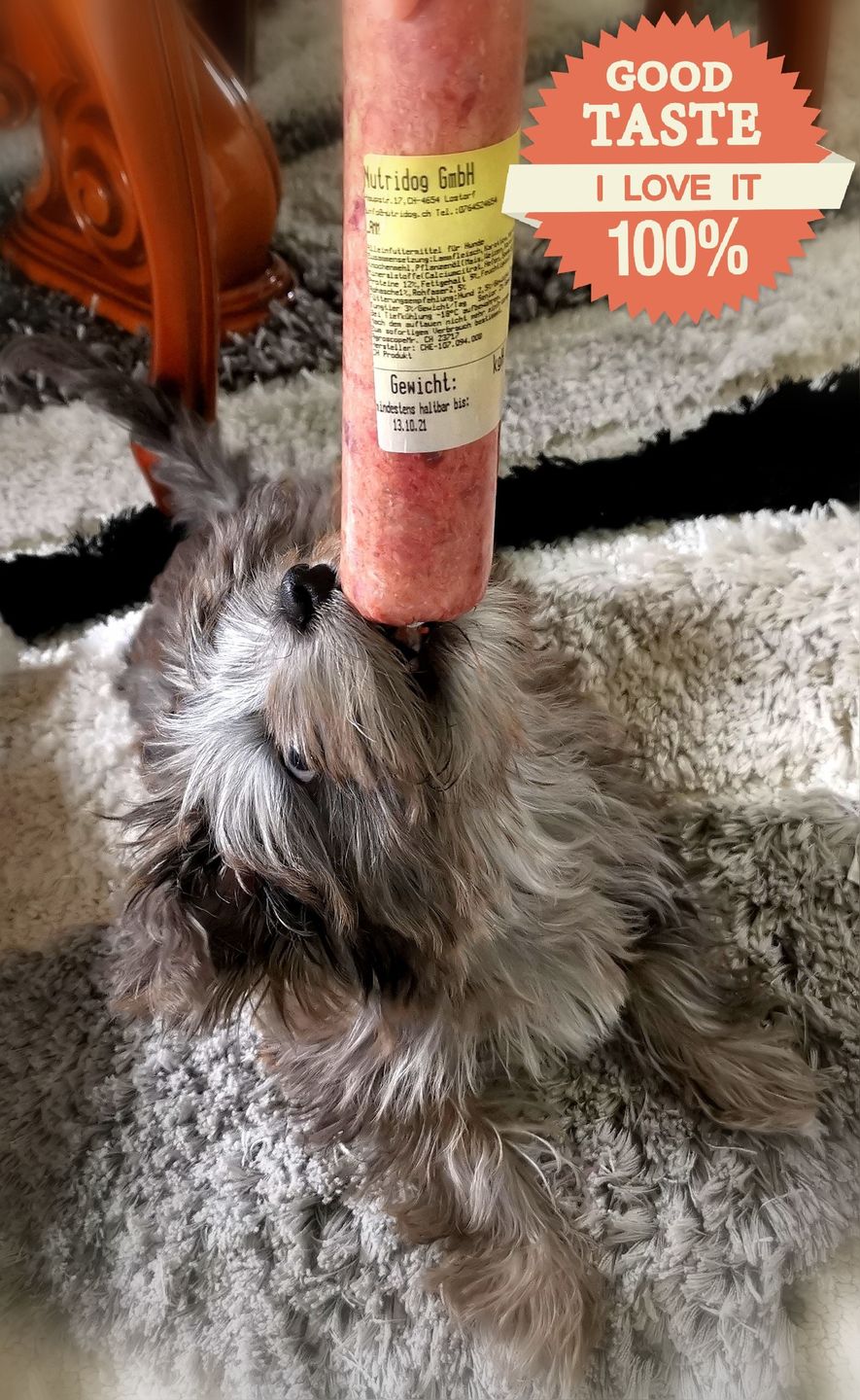Customer photo review of NutriDog Starter-Box - 3 Sorten in 200g Portionen