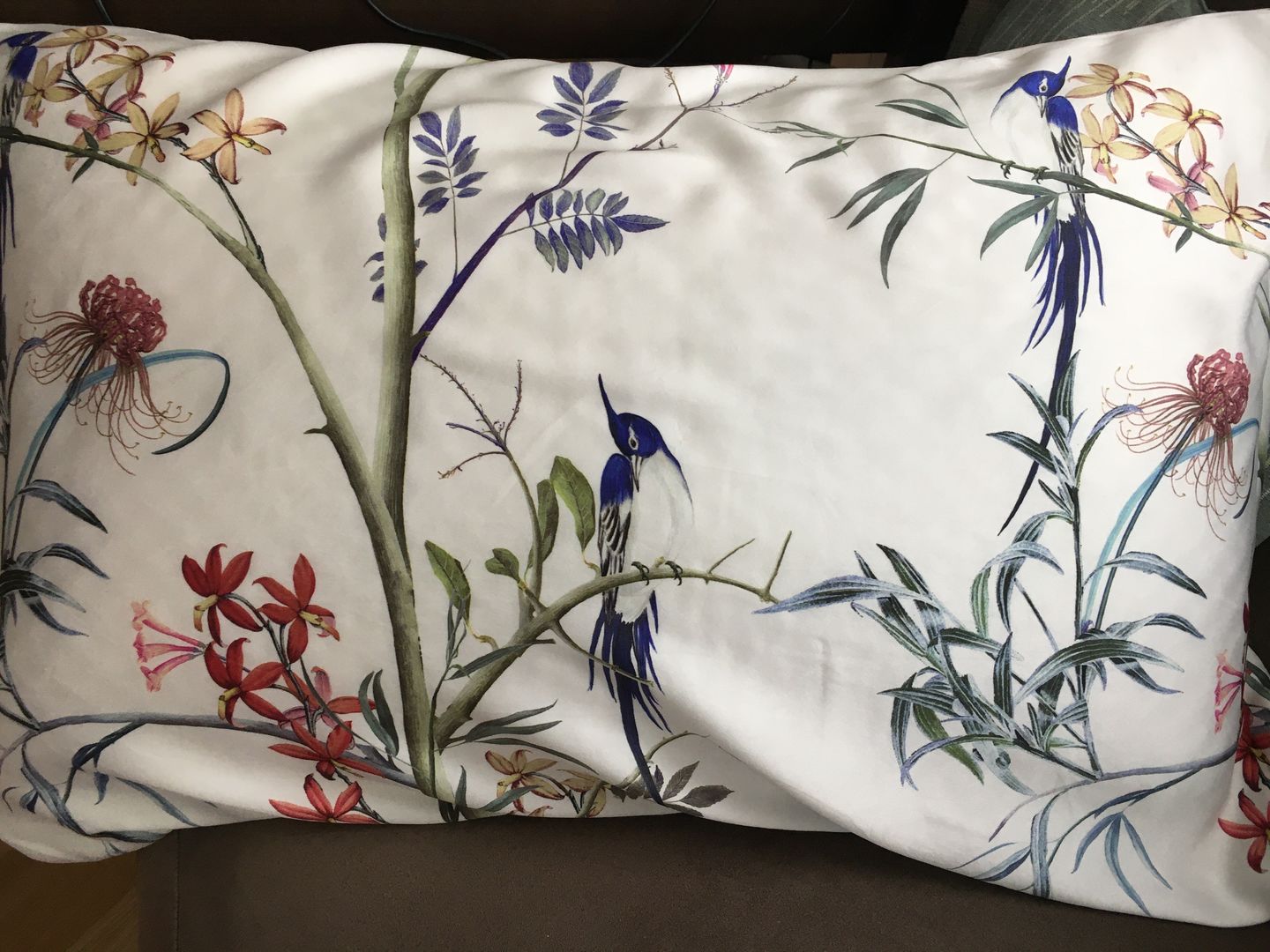Customer photo review of Hummingbird Pure Silk Pillowcase