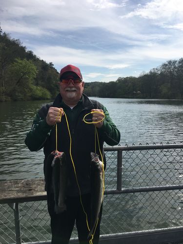 Customer photo review of All Purpose Driver Kit