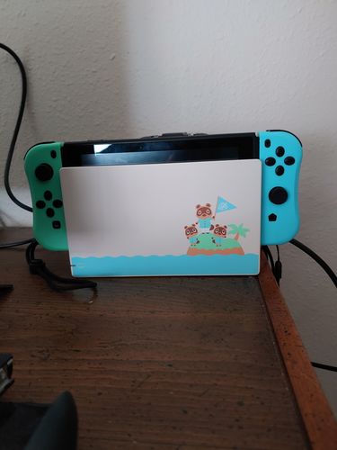 Customer photo review of Nintendo Switch Joy-Cons (L-R)