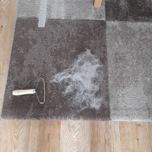 Customer photo review of Lint Swept™ Lint Roller Shaver