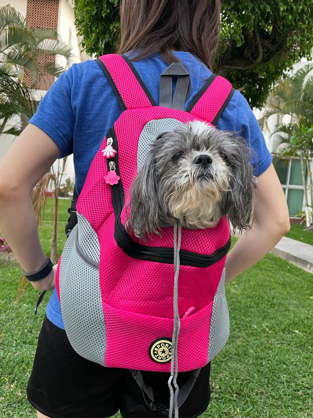 Customer photo review of Fur Sport™ - Pet Backpack Carrier