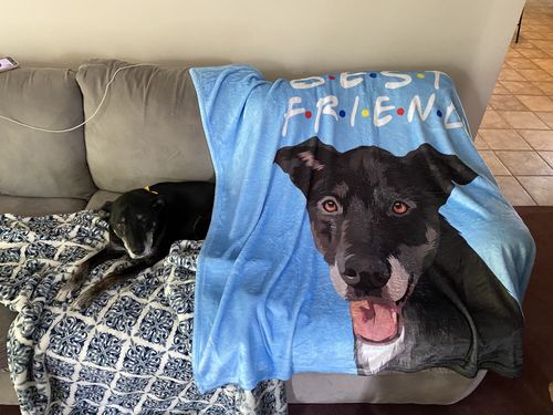 Customer photo review of Custom Pet Fleece Blanket